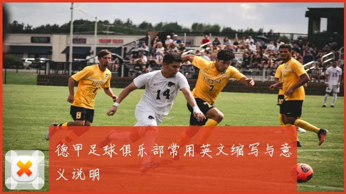 德甲足球俱乐部常用英文缩写与意义说明