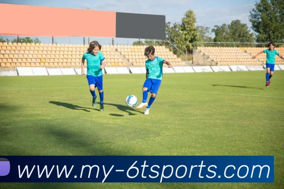 6T体育平台生态图